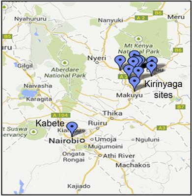 Metagenomic Analysis of Plant Virus Occurrence in Common Bean (Phaseolus vulgaris) in Central Kenya